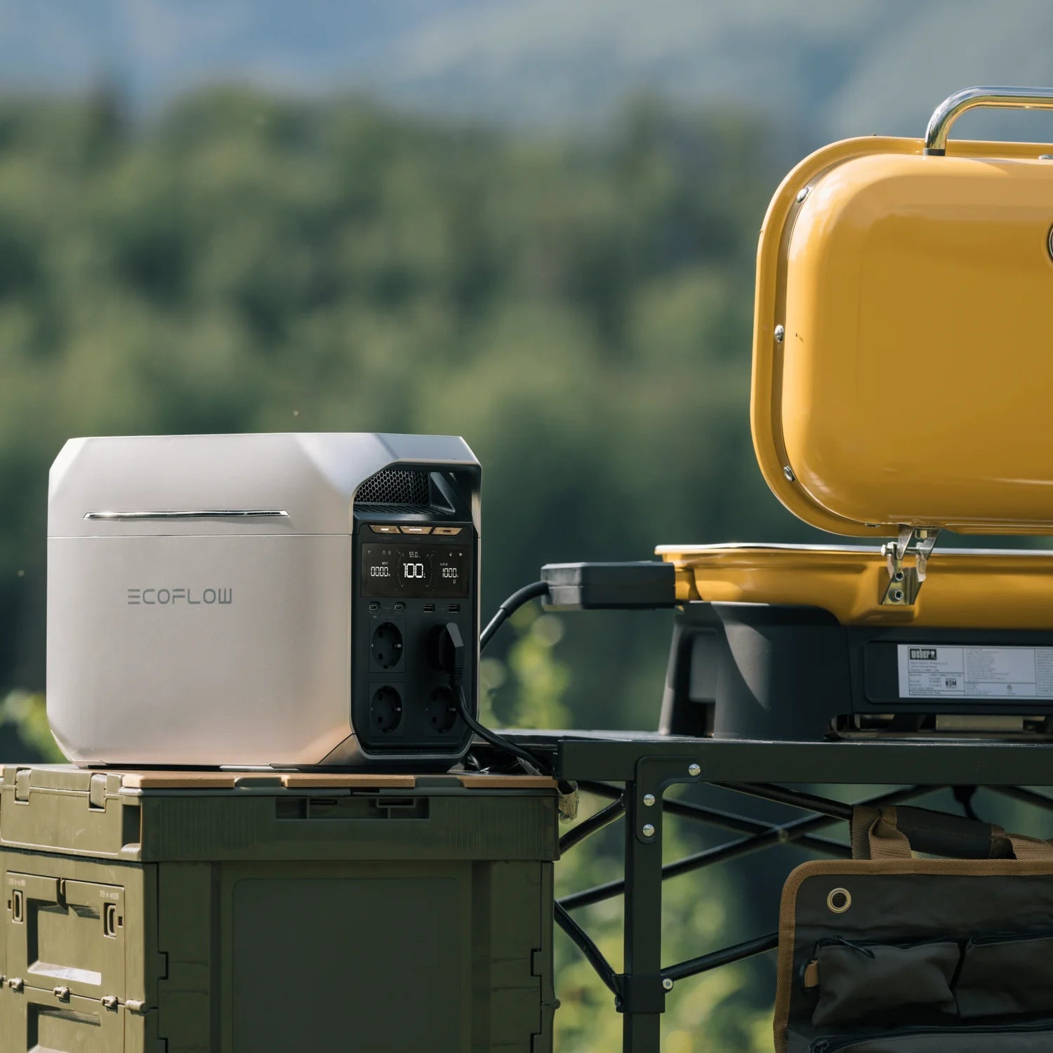 EcoFlow DELTA 3 Portable Power Station - Vanlife - Store